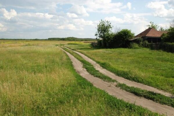 Разведение, содержание и уход кур в домашних условиях