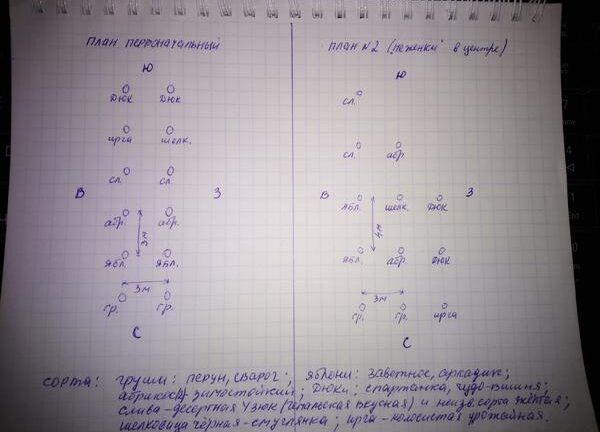 Планирование садового участка с различными фруктовыми деревьями.