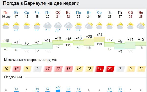 Обработка плодово-ягодных деревьев и кустарников при нынешней температуре — оправдана?