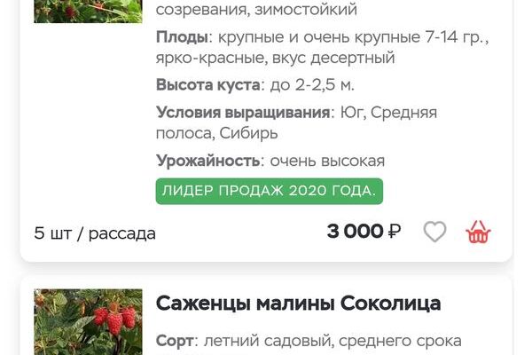 В чём разница между закрытыми и открытыми корневыми системами?