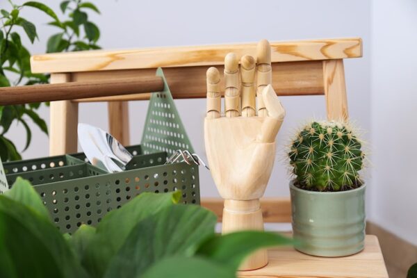 Еdible plants in a green kitchen: what and how?