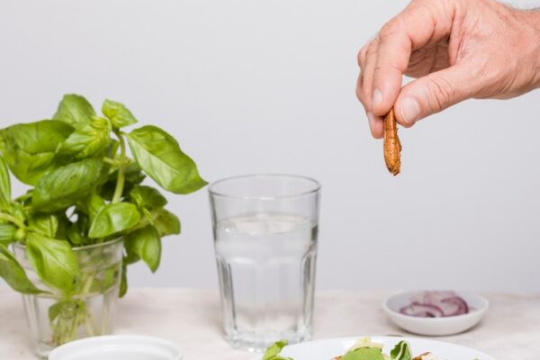 Подорожник: рецепты для здоровья кожи