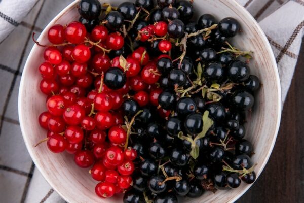 Поражение смородины: пятна на листьях.