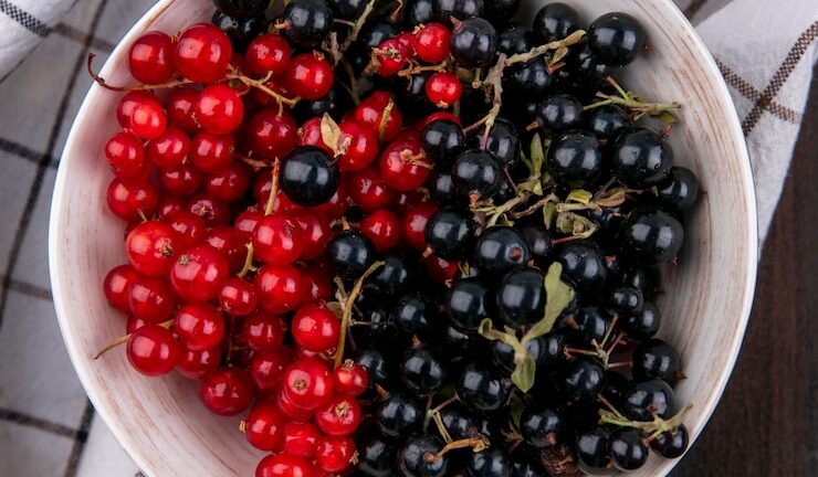 Поражение смородины: пятна на листьях.