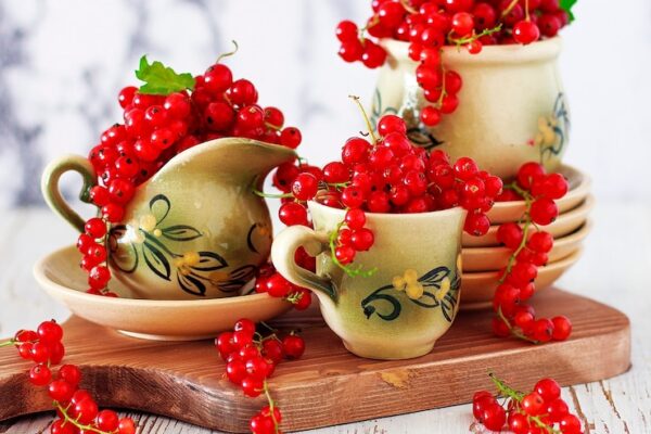Рябина