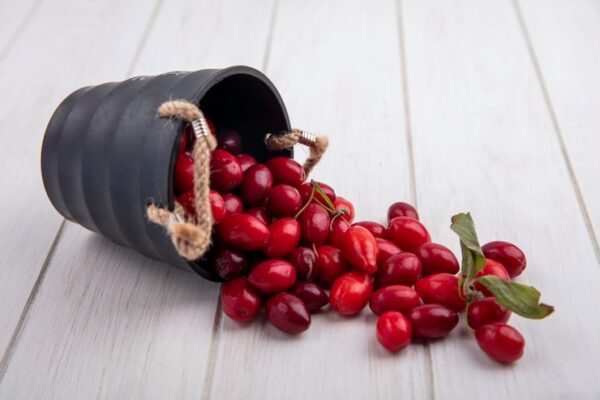 Как вырастить вкусные ягоды вишни из косточек?