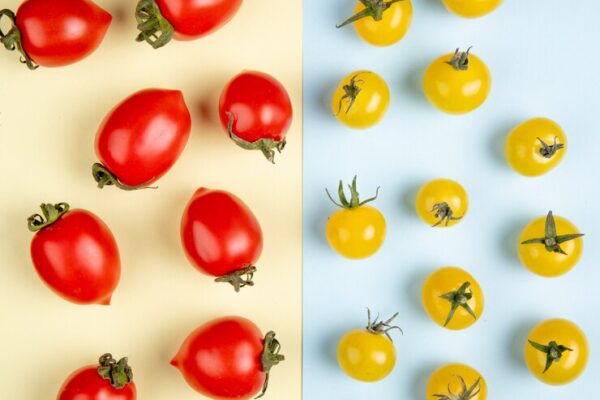Помидоры-«мишки косолапые»: разнообразие цветов и вкусов